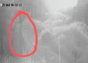 Ketua RT Cilegon Diduga Mengintip Lewat Atap, Lurah: Sesuai Aturan Harus Mundur