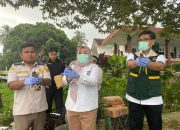 Karantina Banten Gagalkan Penyelundupan 742 Burung Liar Tanpa Dokumen