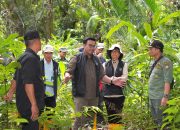 Wamen Kehutanan RI Tinjau Kesiapan Lokasi Translokasi Badak Jawa di Taman Nasional Ujung Kulon
