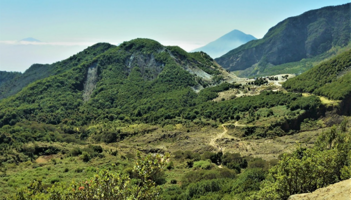 Apa Saja Daya Tarik dan Fakta Menarik Gunung Honje di Taman Nasional Ujung Kulon?
