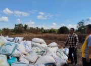 Bau Busuk yang Mengganggu, Antara Janji Jagung dan Jeritan Warga Cisait