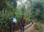 Program P3-TGAI Tingkatkan Produktivitas Petani di Lebak