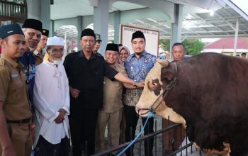 Mengenal “Gani”, Sapi Simental 1,1 Ton Bantuan Presiden Prabowo untuk Warga Cilegon