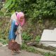 Janji Wali Kota Cilegon Atasi Kekeringan di Pulomerak: Keran Air Akan Masuk Rumah Warga
